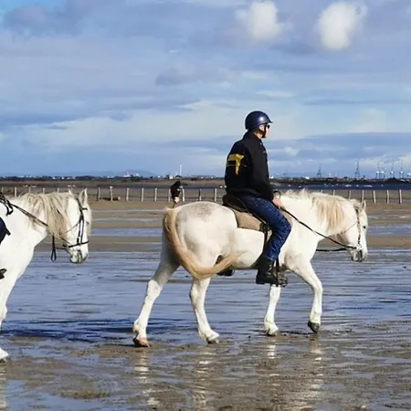 Neuf Garance 35 M2 Salin De Giraud *