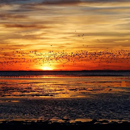 Neuf Garance 35 M2 Salin De Giraud Διαμέρισμα