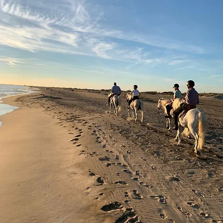 Neuf Garance 35 M2 Salin De Giraud Διαμέρισμα *