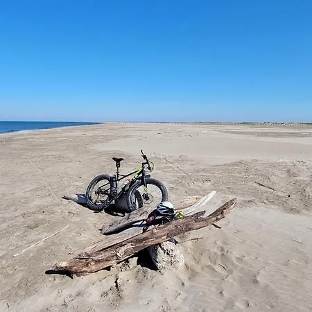 Neuf Garance 35 M2 Salin De Giraud Διαμέρισμα Αρλ